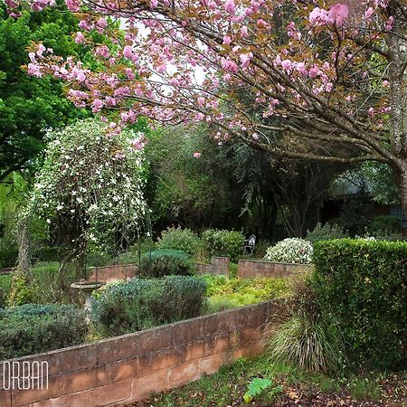 Birches Cottage & The Willows Garden Room Underberg Dış mekan fotoğraf
