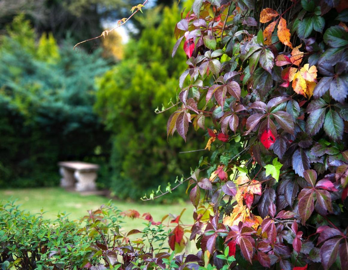 Birches Cottage & The Willows Garden Room Underberg Dış mekan fotoğraf