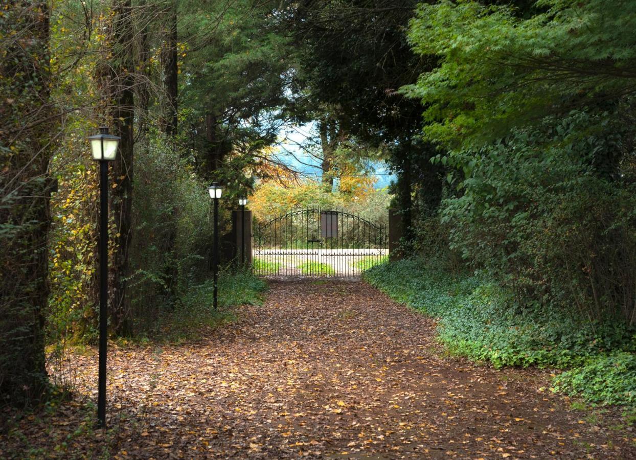 Birches Cottage & The Willows Garden Room Underberg Dış mekan fotoğraf