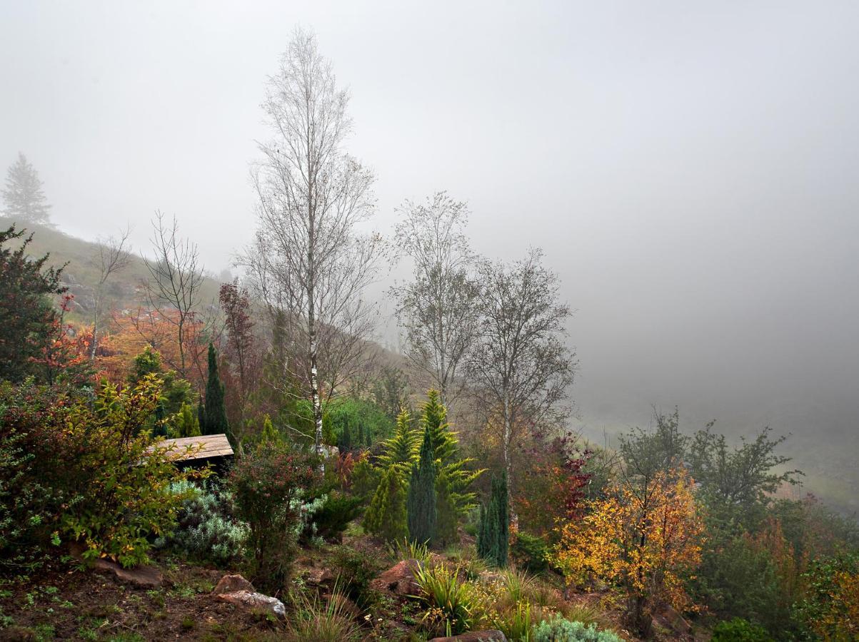Birches Cottage & The Willows Garden Room Underberg Dış mekan fotoğraf