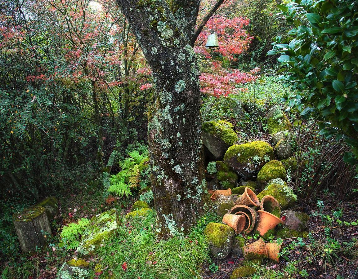 Birches Cottage & The Willows Garden Room Underberg Dış mekan fotoğraf