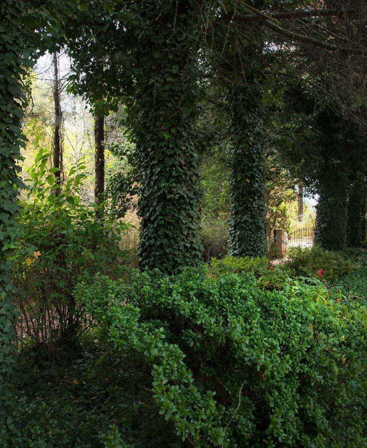 Birches Cottage & The Willows Garden Room Underberg Dış mekan fotoğraf