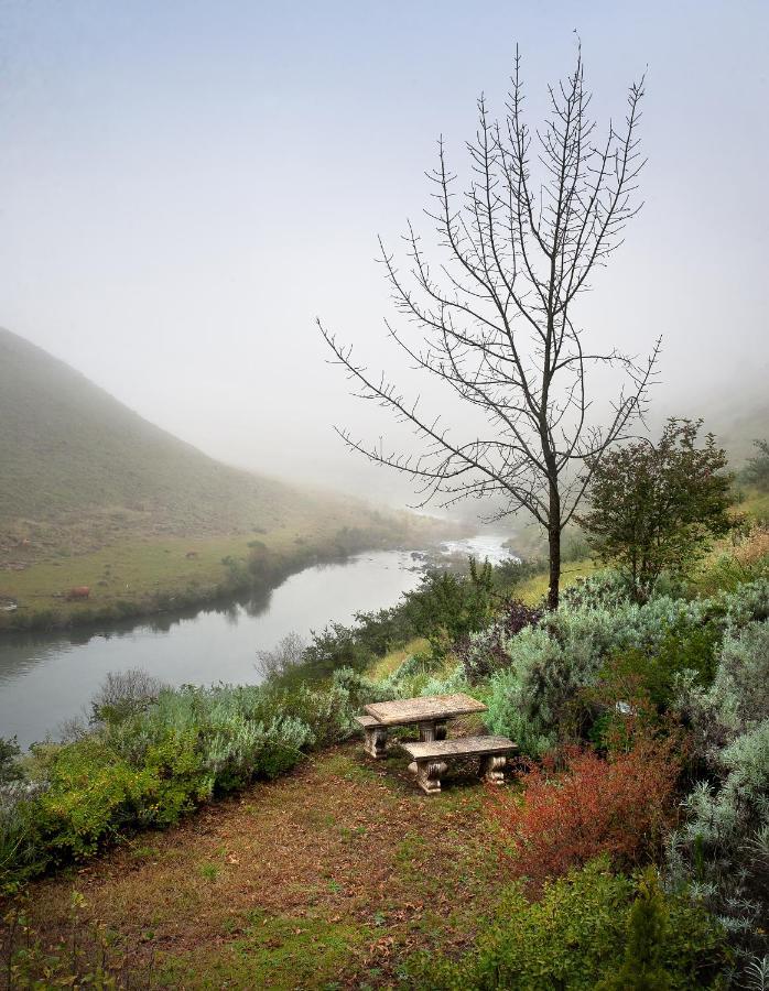 Birches Cottage & The Willows Garden Room Underberg Dış mekan fotoğraf