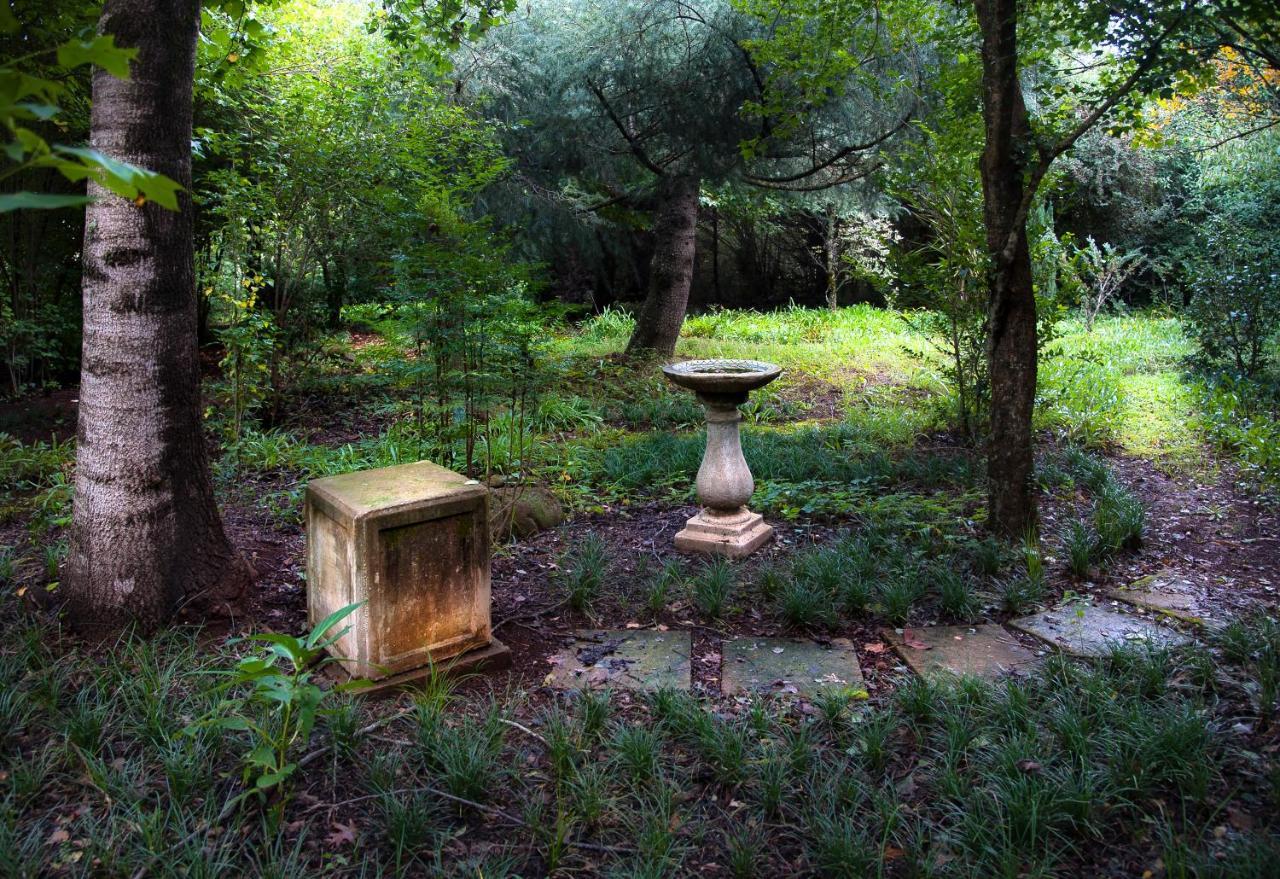 Birches Cottage & The Willows Garden Room Underberg Dış mekan fotoğraf