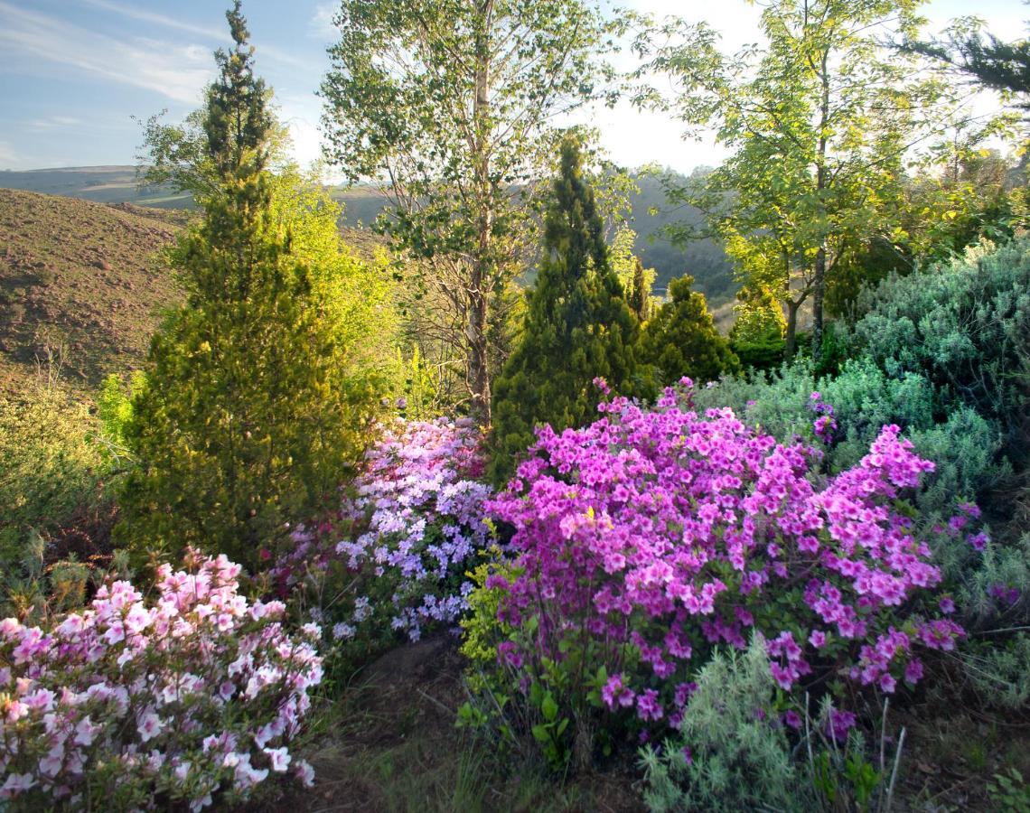 Birches Cottage & The Willows Garden Room Underberg Dış mekan fotoğraf