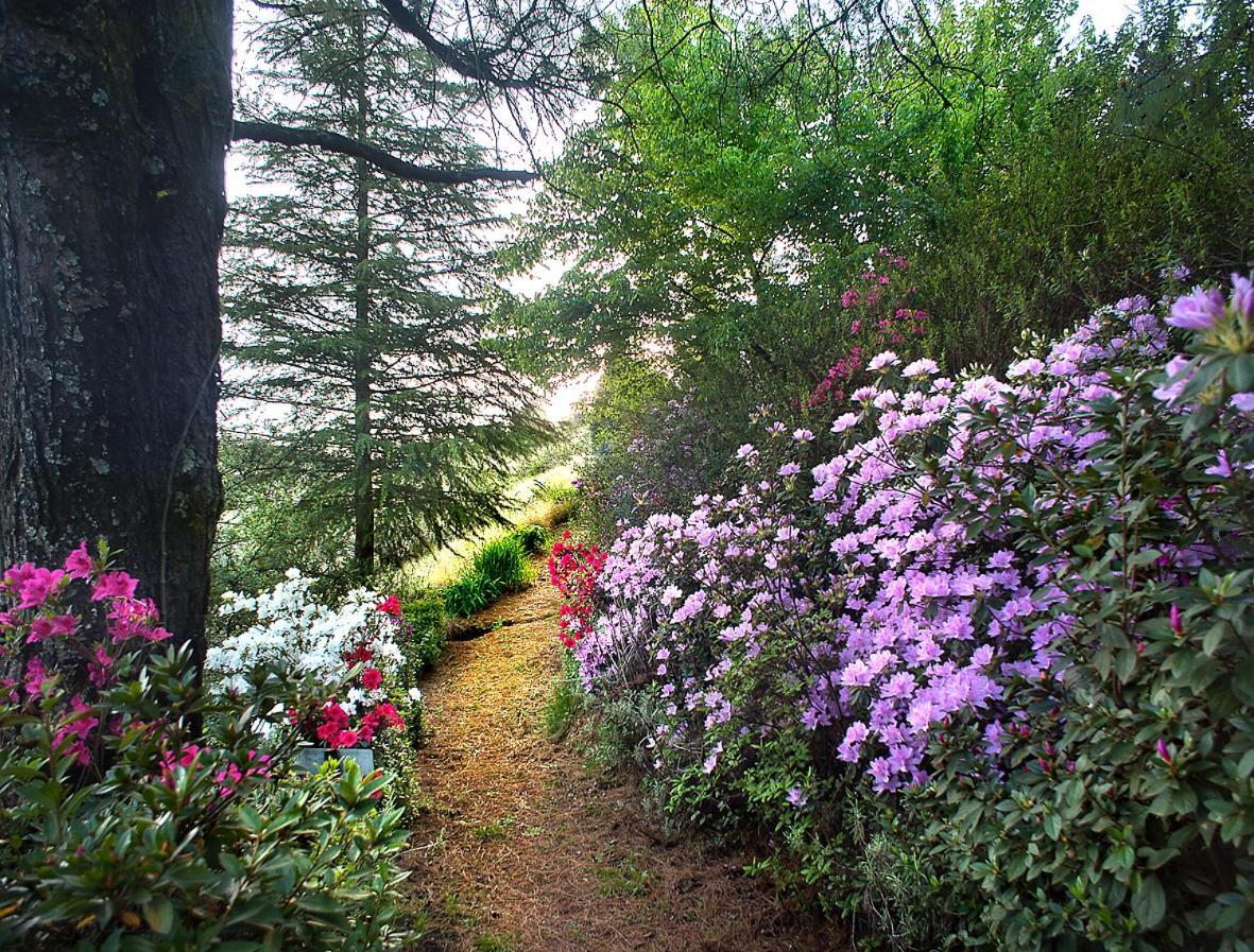 Birches Cottage & The Willows Garden Room Underberg Dış mekan fotoğraf