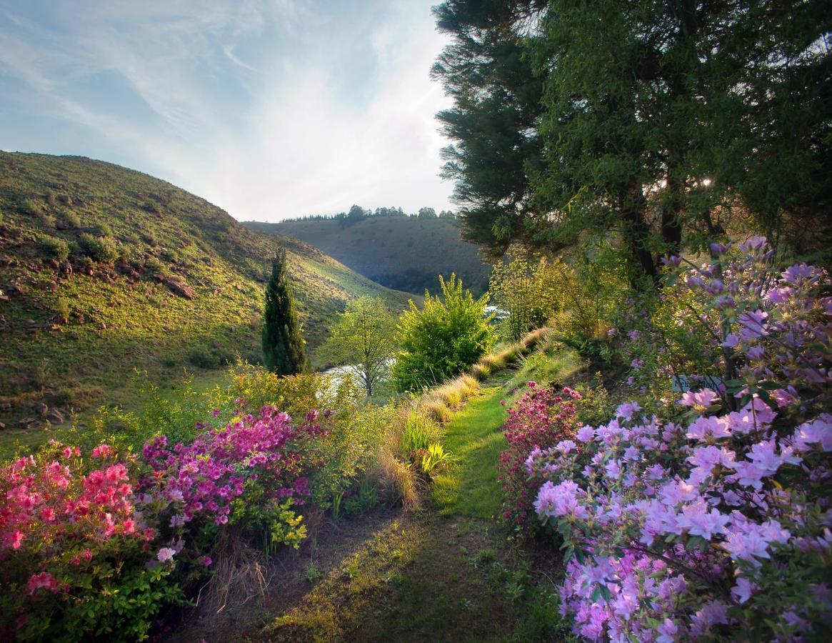 Birches Cottage & The Willows Garden Room Underberg Dış mekan fotoğraf