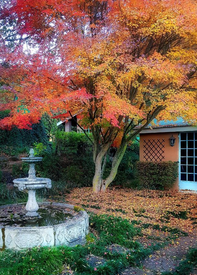 Birches Cottage & The Willows Garden Room Underberg Dış mekan fotoğraf