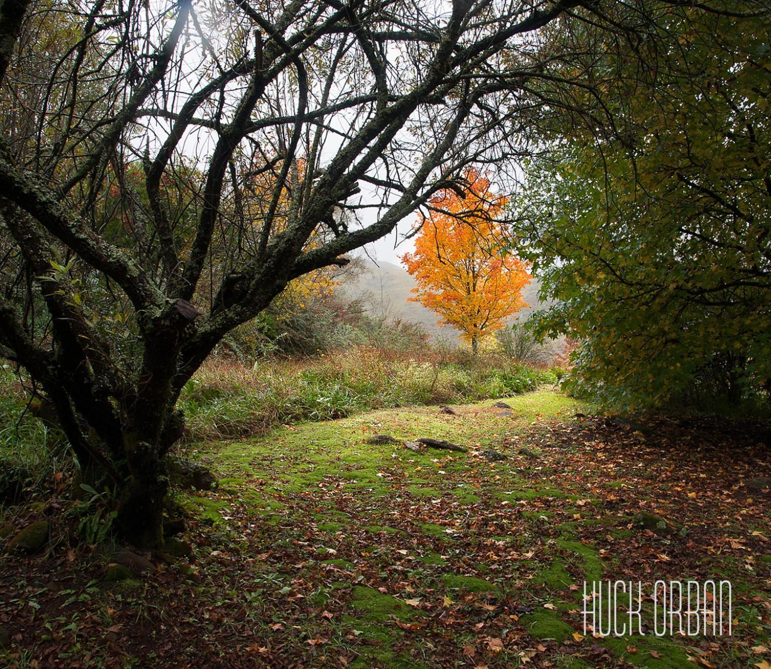 Birches Cottage & The Willows Garden Room Underberg Dış mekan fotoğraf
