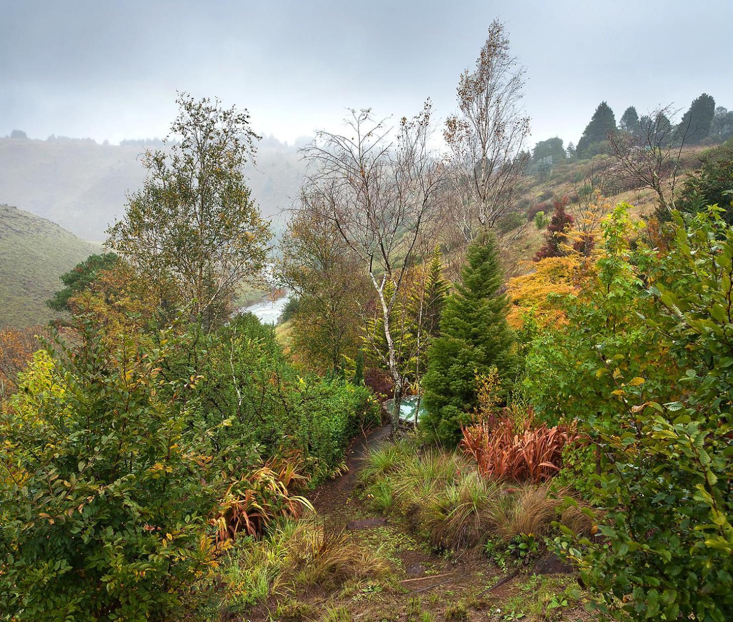Birches Cottage & The Willows Garden Room Underberg Dış mekan fotoğraf