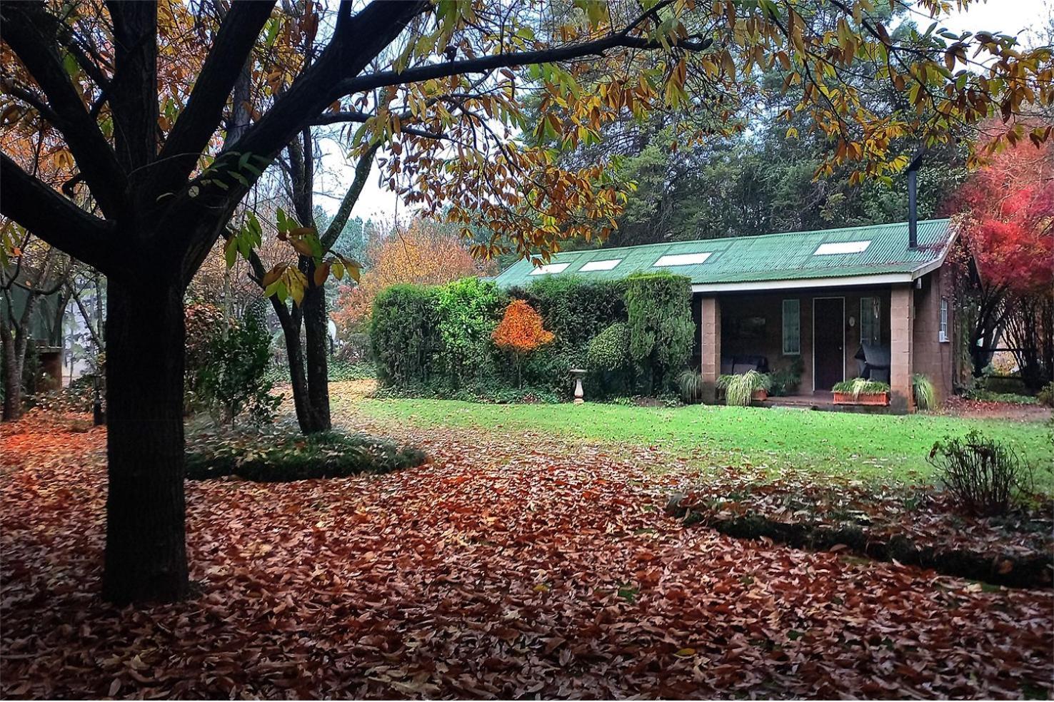 Birches Cottage & The Willows Garden Room Underberg Dış mekan fotoğraf