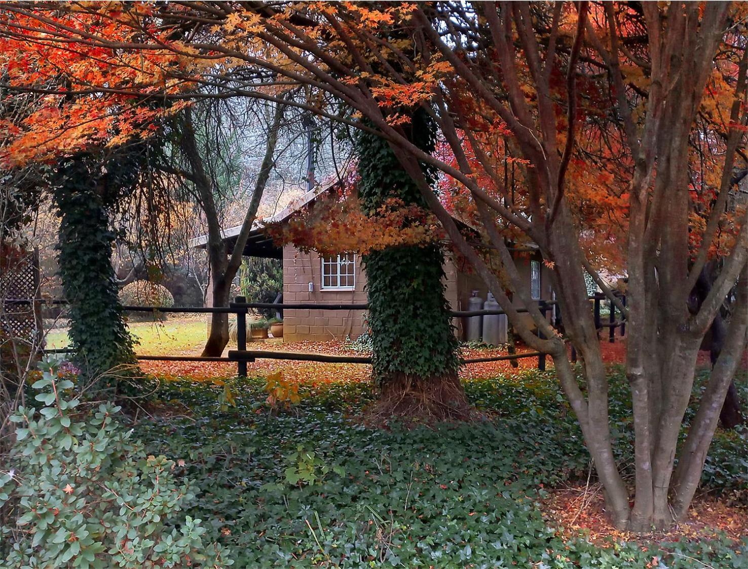 Birches Cottage & The Willows Garden Room Underberg Dış mekan fotoğraf