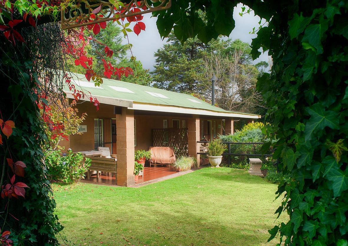 Birches Cottage & The Willows Garden Room Underberg Dış mekan fotoğraf