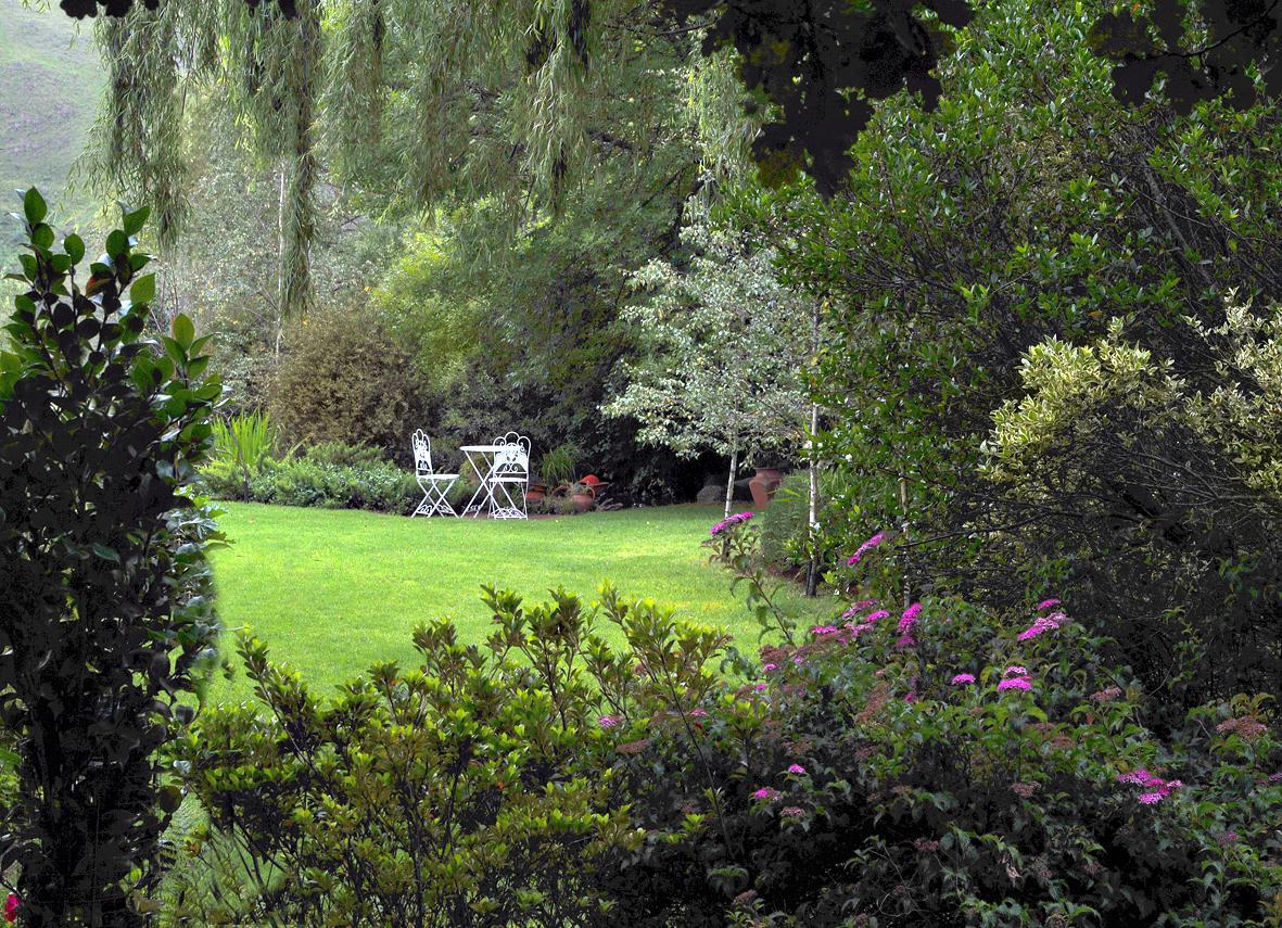 Birches Cottage & The Willows Garden Room Underberg Dış mekan fotoğraf