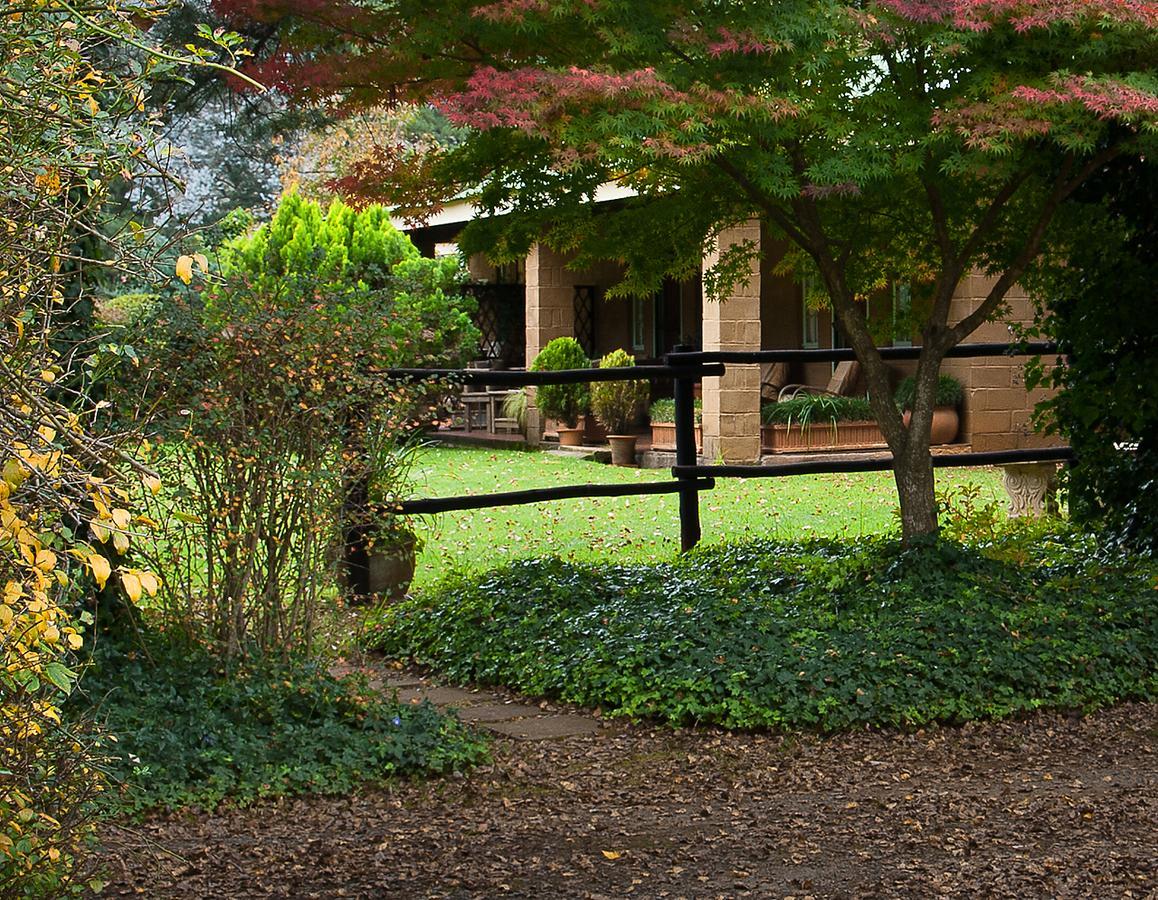 Birches Cottage & The Willows Garden Room Underberg Dış mekan fotoğraf