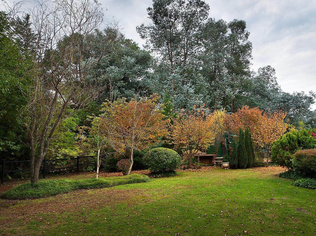 Birches Cottage & The Willows Garden Room Underberg Dış mekan fotoğraf