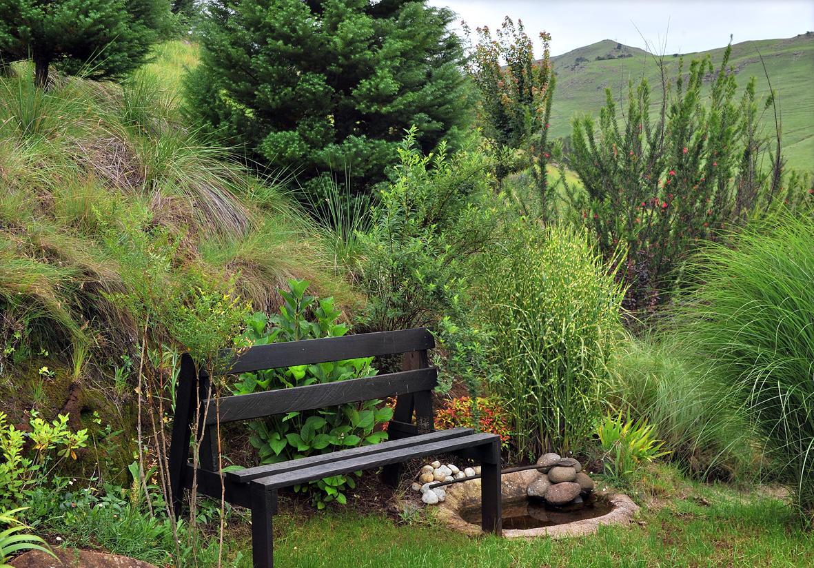 Birches Cottage & The Willows Garden Room Underberg Dış mekan fotoğraf