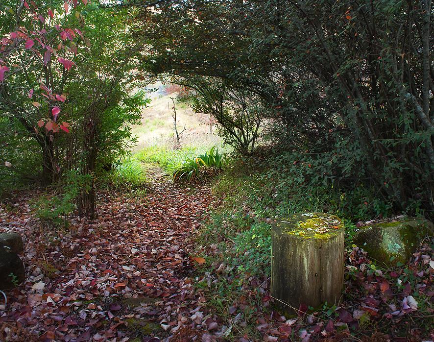 Birches Cottage & The Willows Garden Room Underberg Dış mekan fotoğraf