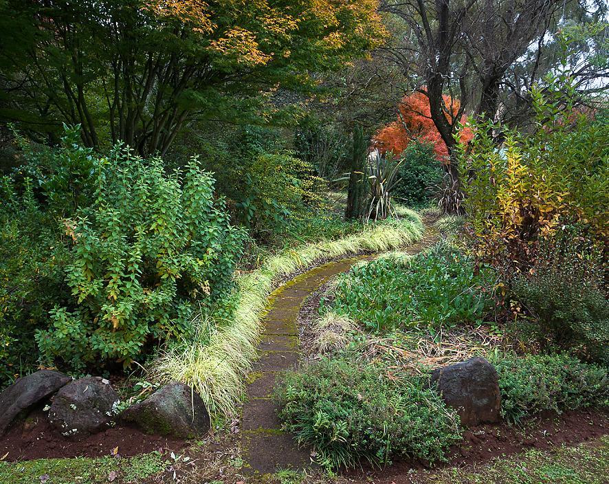 Birches Cottage & The Willows Garden Room Underberg Dış mekan fotoğraf