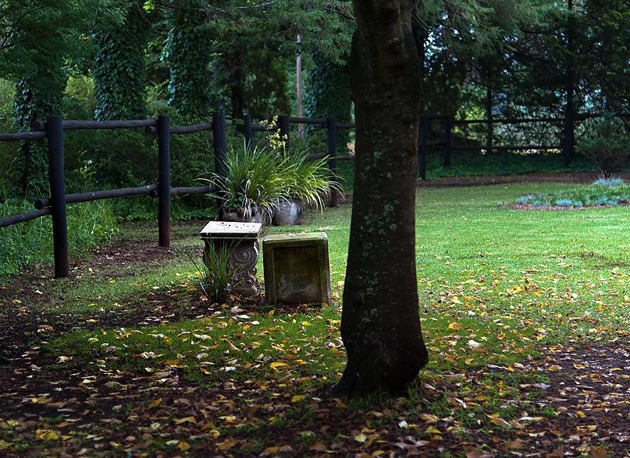 Birches Cottage & The Willows Garden Room Underberg Dış mekan fotoğraf