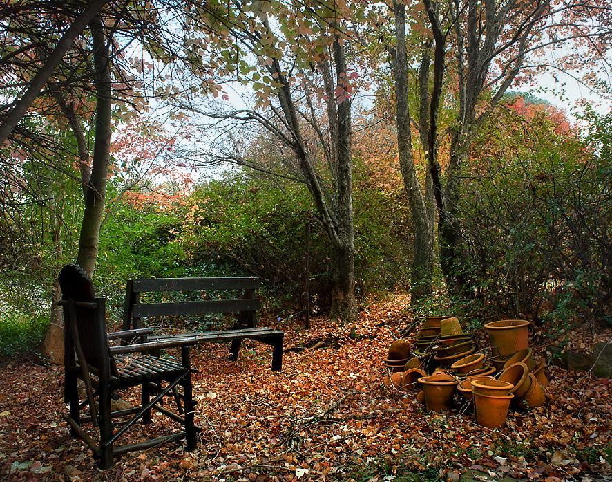 Birches Cottage & The Willows Garden Room Underberg Dış mekan fotoğraf