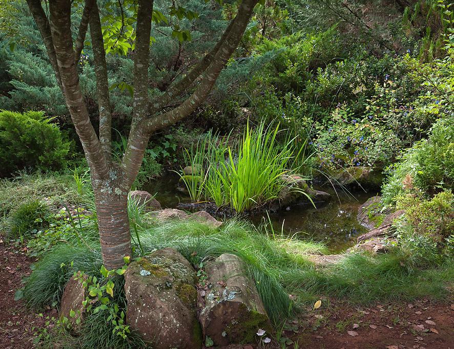 Birches Cottage & The Willows Garden Room Underberg Dış mekan fotoğraf