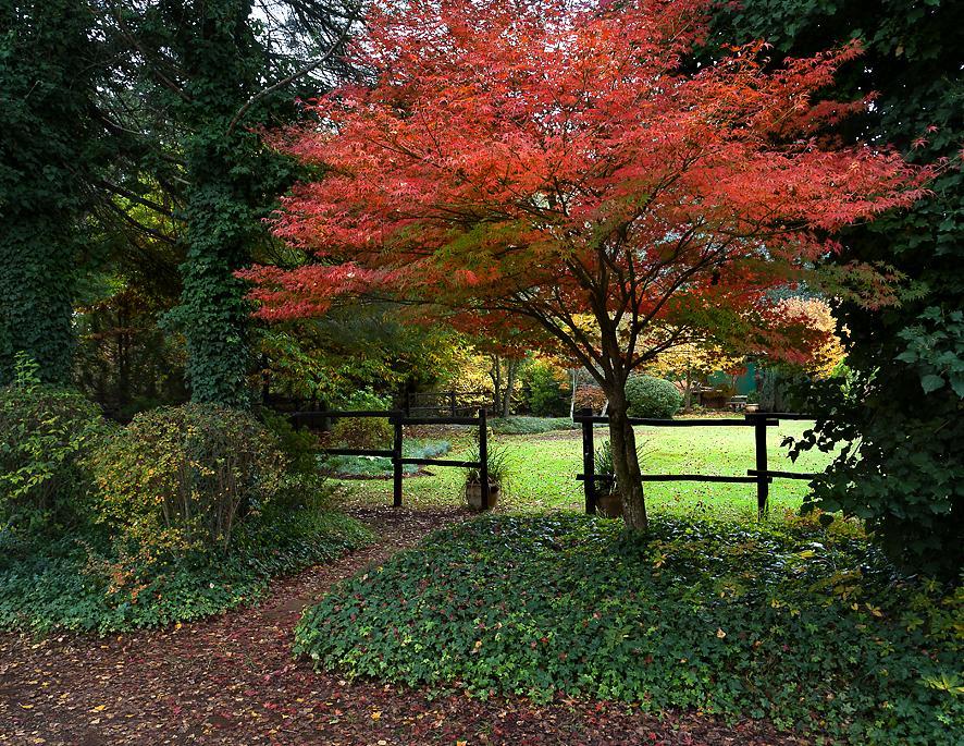 Birches Cottage & The Willows Garden Room Underberg Dış mekan fotoğraf