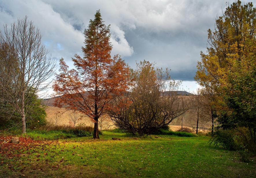 Birches Cottage & The Willows Garden Room Underberg Dış mekan fotoğraf